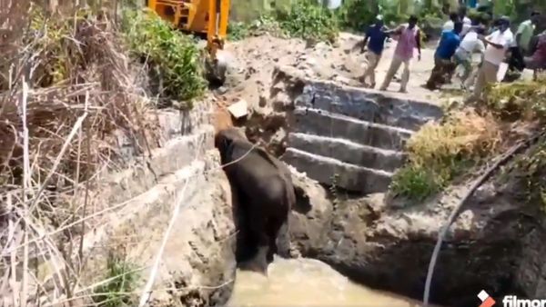 Rescued the male elephant fallen into agricultural well in Hoogyam ,MM Hills Wildlife Sanctuary.Thanks to villagers ,police ,media and forest frontline staff for cooperating - Sputnik International