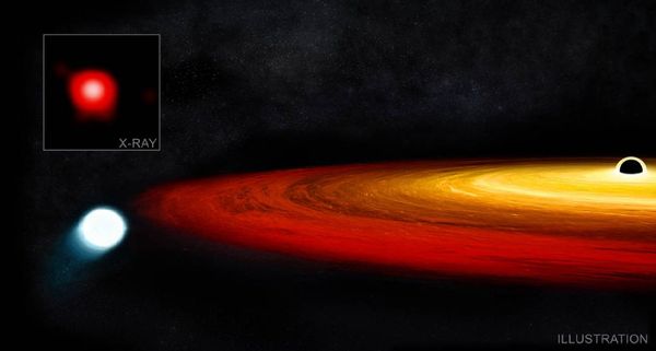 Black Hole Spewing Hot Jets Near Speed of Light Caught on Video Black Hole Spewing Hot Jets Near Speed of Light Caught on Video - Sputnik International