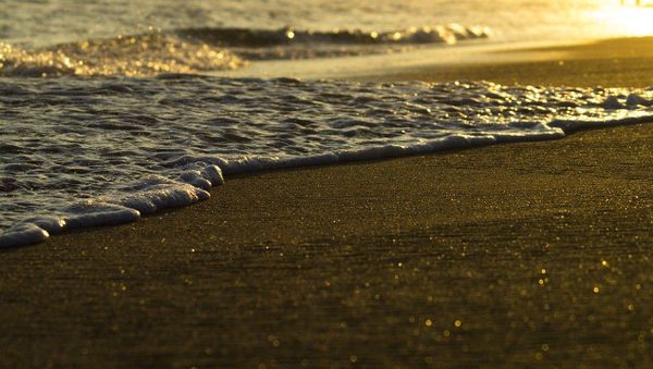 Beach Beach - Sputnik International