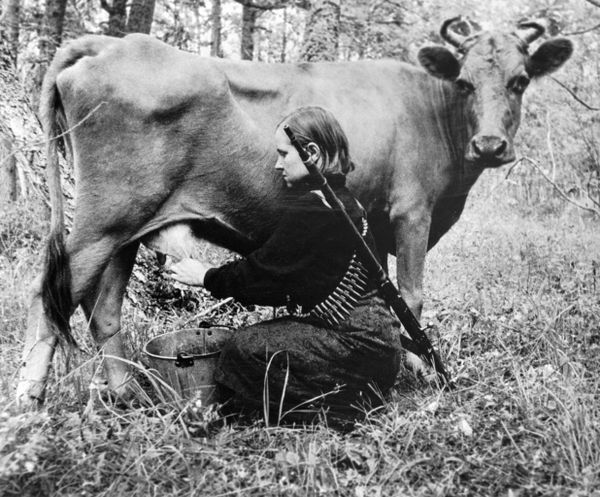 A woman milks a cow in a partisan regiment in Ukraine on 31 July 1943 A woman milks a cow in a partisan regiment in Ukraine on 31 July 1943 - Sputnik International