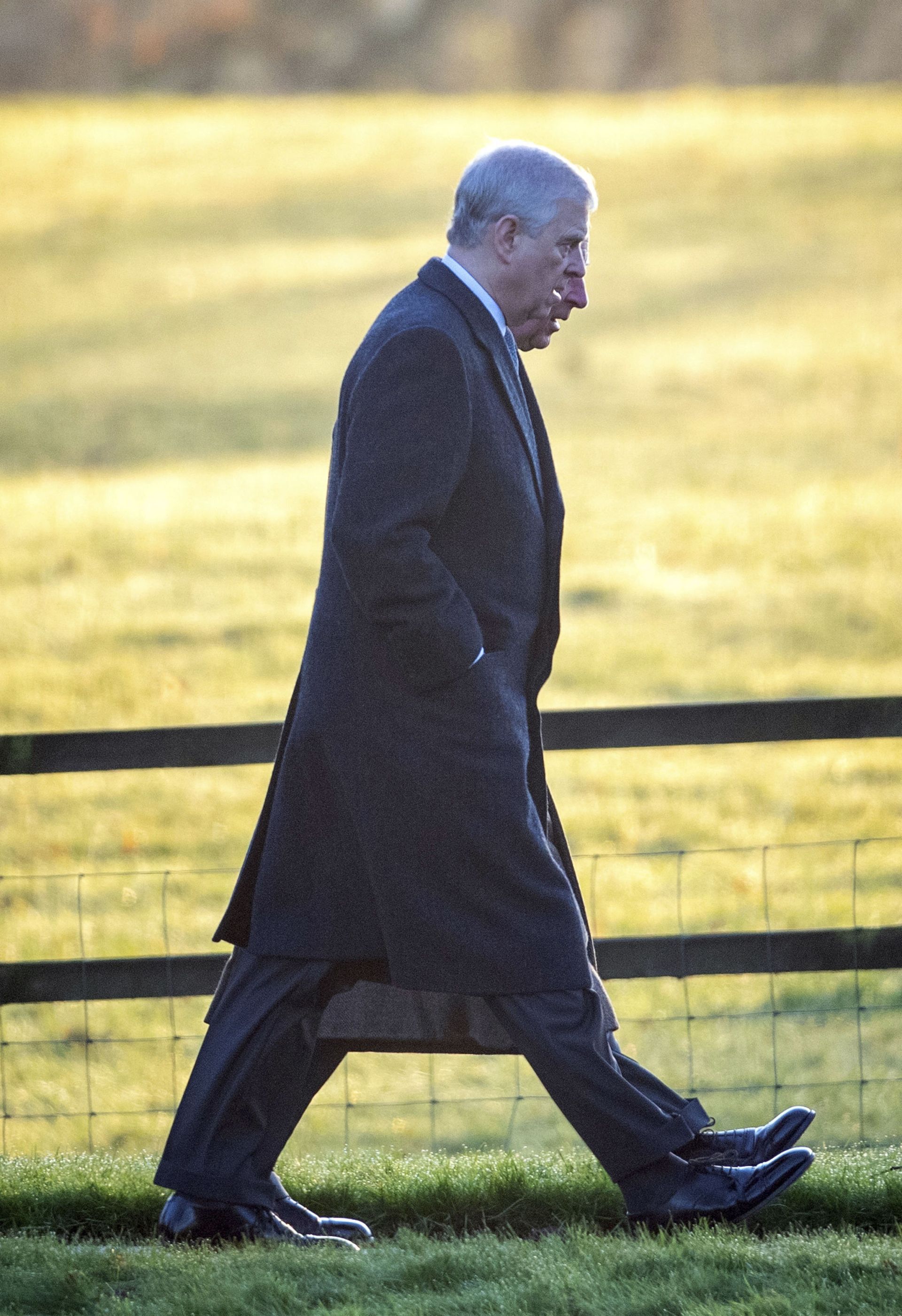 ‘No Longer Appropriate’: Prince Andrew Reportedly Dumped as Patron by Charities Over Epstein Probe ‘No Longer Appropriate’: Prince Andrew Reportedly Dumped as Patron by Charities Over Epstein Probe - Sputnik International, 1920, 16.05.2021