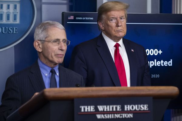 Emails Reportedly Show HHS Official ‘Dictating’ Anthony Fauci Media Responses to Favour Trump Agenda Emails Reportedly Show HHS Official ‘Dictating’ Anthony Fauci Media Responses to Favour Trump Agenda - Sputnik International
