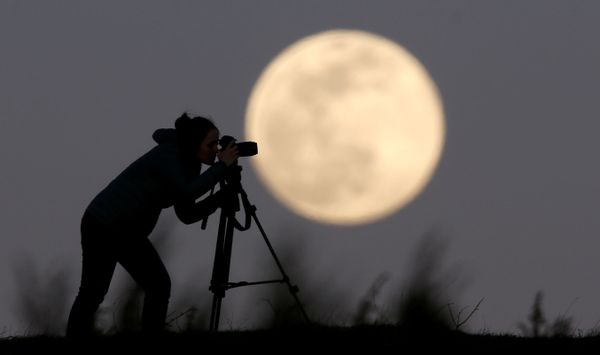 Violent Meteorite Impacts Formed the Moon’s Outer Layer, New Study Says - Sputnik International