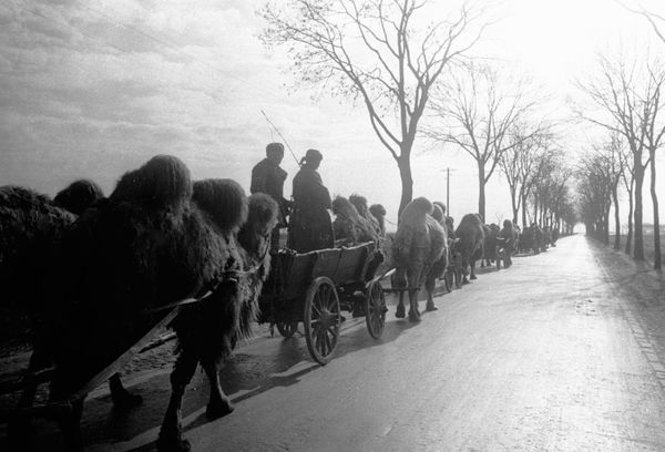 75 Years of Victory: Capture of Berlin by Soviet Forces in 1945 - Sputnik International