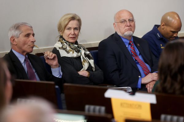 What's Behind Trump's Row With Health Agencies & Birx's Decision to Take on CDC, WHO What's Behind Trump's Row With Health Agencies & Birx's Decision to Take on CDC, WHO - Sputnik International