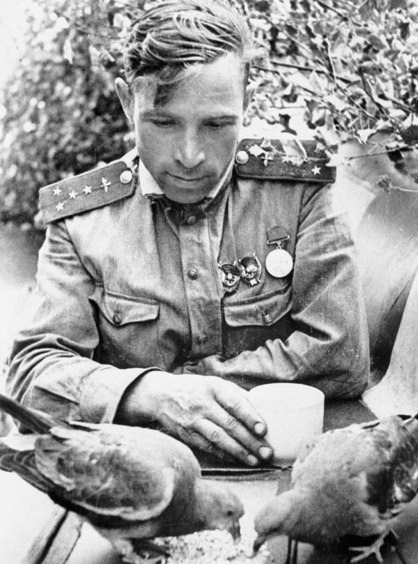 A navigator of the 263rd Fighter Aviation Regiment, Captain Viktor Vasilievich Popov, 1943 A navigator of the 263rd Fighter Aviation Regiment, Captain Viktor Vasilievich Popov, 1943 - Sputnik International