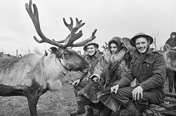 A Soviet reindeer herder with British aircraft mechanics at an airfield in the polar region A Soviet reindeer herder with British aircraft mechanics at an airfield in the polar region - Sputnik International