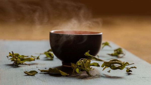 Hot tea - Sputnik International