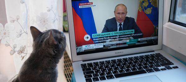 Cat looks on as Russian President Vladimir Putin takes part in briefing on the coronavirus situation, May 11, 2020. - Sputnik International