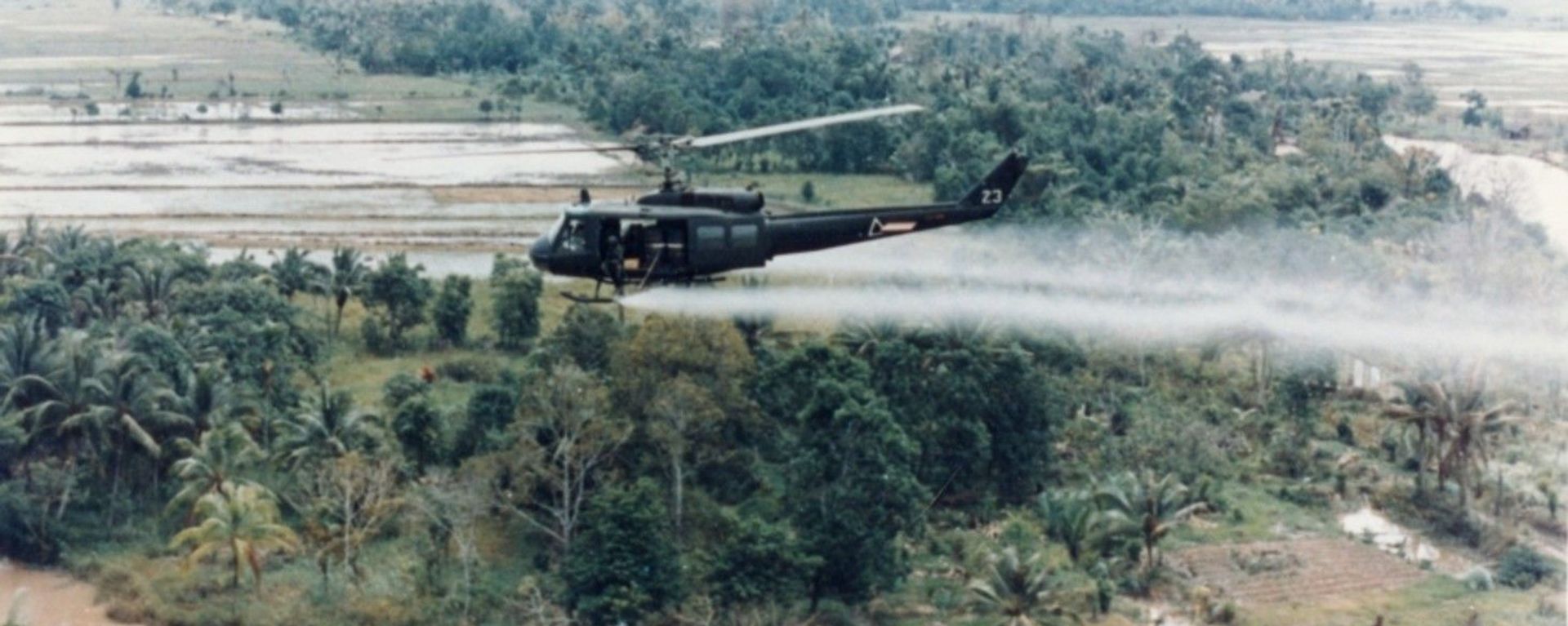 U.S. Huey helicopter spraying Agent Orange over Vietnam U.S. Huey helicopter spraying Agent Orange over Vietnam - Sputnik International, 1920, 12.05.2020