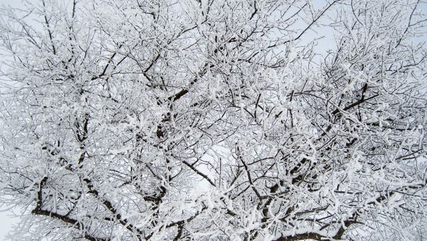 Snow - Sputnik International