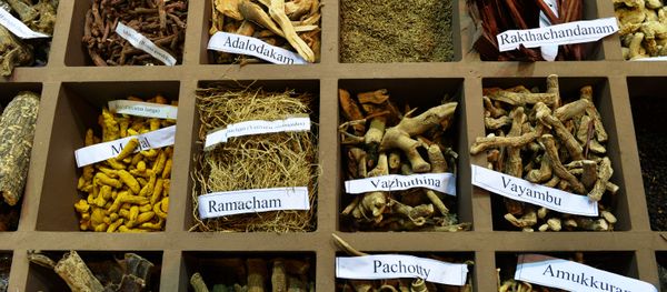 In this photograph taken on November 6, 2014, a display of herbs on a stand at the sixth World Ayurveda Congress and Arogya Expo in New Delhi.  - Sputnik International