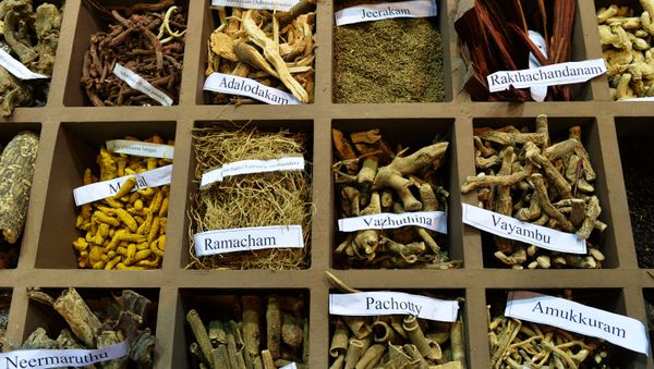 In this photograph taken on November 6, 2014, a display of herbs on a stand at the sixth World Ayurveda Congress and Arogya Expo in New Delhi. In this photograph taken on November 6, 2014, a display of herbs on a stand at the sixth World Ayurveda Congress and Arogya Expo in New Delhi. - Sputnik International