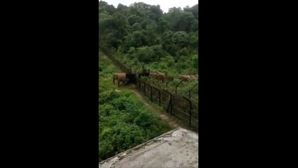  At a border fence near Bangladesh apparently  - Sputnik International
