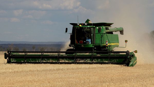 This photo, taken 12 November 2007 shows a dry and stunted barley crop being harvested on the property of farmer Paul Rout at Grenfell in the central west of New South Wales. This photo, taken 12 November 2007 shows a dry and stunted barley crop being harvested on the property of farmer Paul Rout at Grenfell in the central west of New South Wales. - Sputnik International
