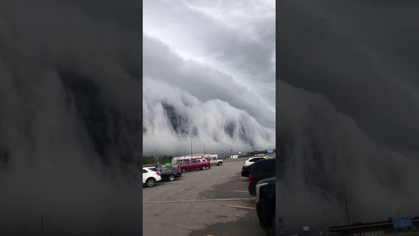Spectacular Shelf Cloud Approaching   - Sputnik International