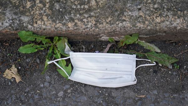 A protective face mask is seen discarded on the ground following the outbreak of the coronavirus disease (COVID-19), in Dublin, Ireland, May 19, 2020.  - Sputnik International