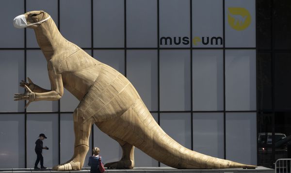 A boy walks by a model of a dinosaur wearing a face mask, during a partial lockdown to prevent the spread of the coronavirus, at the Museum of Natural History in Brussels, 19 May 2020. A boy walks by a model of a dinosaur wearing a face mask, during a partial lockdown to prevent the spread of the coronavirus, at the Museum of Natural History in Brussels, 19 May 2020. - Sputnik International