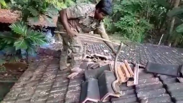 A clinical and fuss-free cobra rescue operation by forest officials in Cotigao Wildlife Sanctuary, Goa - Sputnik International