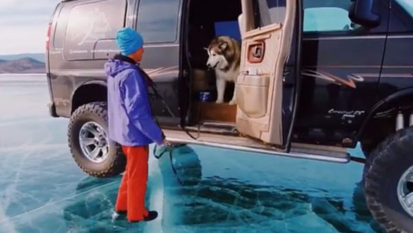 Cute Yet Strange: Malamute Scared of Ice in Russia  - Sputnik International