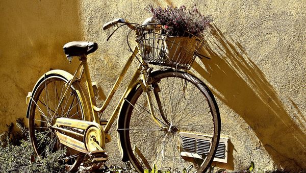 Bicycle - Sputnik International