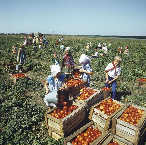 They Were Example to All: Life of Soviet Pioneers in Colour They Were Example to All: Life of Soviet Pioneers in Colour - Sputnik International