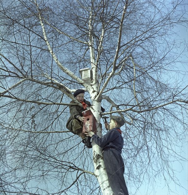 They Were Example to All: Life of Soviet Pioneers in Colour They Were Example to All: Life of Soviet Pioneers in Colour - Sputnik International