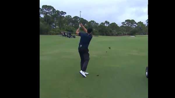Screenshot of the video of Tom Brady ripping off the grass coating of the golf course during the Capital Ones The Match - Sputnik International