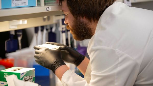 Researcher Cody Hoffmann checks the results of an automated liquid handler as researchers begin a trial to see whether malaria treatment hydroxychloroquine can prevent or reduce the severity of coronavirus disease (COVID-19) at the University of Minnesota in Minneapolis, Minnesota, U.S. March 19, 2020 - Sputnik International
