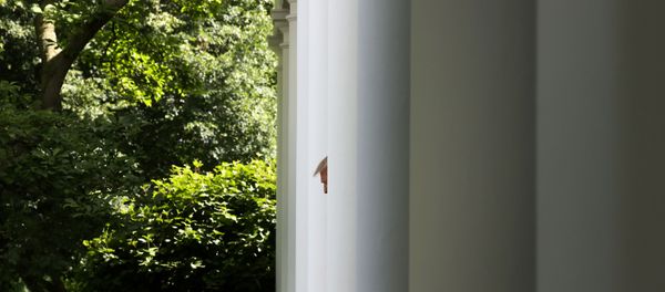 U.S. President Donald Trump arrives to speak about negotiations with pharmaceutical companies over the cost of insulin for U.S. seniors on Medicare at an event in the Rose Garden at the White House during the coronavirus disease (COVID-19) outbreak in Washington, U.S. May 26, 2020. U.S. President Donald Trump arrives to speak about negotiations with pharmaceutical companies over the cost of insulin for U.S. seniors on Medicare at an event in the Rose Garden at the White House during the coronavirus disease (COVID-19) outbreak in Washington, U.S. May 26, 2020. - Sputnik International