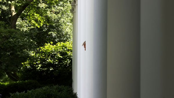 U.S. President Donald Trump arrives to speak about negotiations with pharmaceutical companies over the cost of insulin for U.S. seniors on Medicare at an event in the Rose Garden at the White House during the coronavirus disease (COVID-19) outbreak in Washington, U.S. May 26, 2020. U.S. President Donald Trump arrives to speak about negotiations with pharmaceutical companies over the cost of insulin for U.S. seniors on Medicare at an event in the Rose Garden at the White House during the coronavirus disease (COVID-19) outbreak in Washington, U.S. May 26, 2020. - Sputnik International