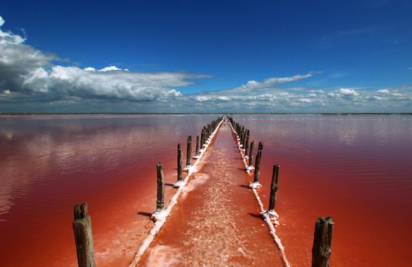 This Week in Pictures: 23 - 29 May - Sputnik International
