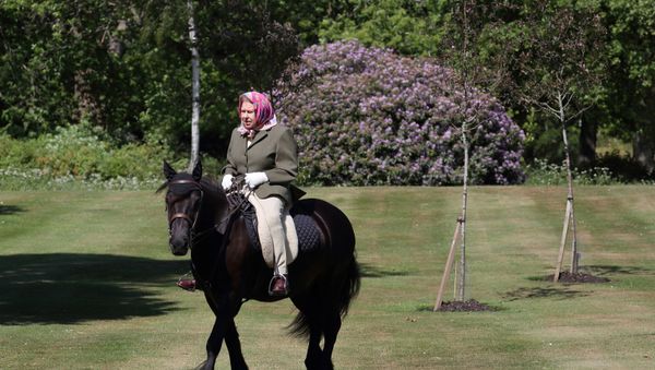 Britain's Queen Elizabeth II rides Balmoral Fern, a 14-year-old Fell pony, in Windsor Home Park, following the outbreak of the coronavirus disease (COVID-19), in Windsor, Britain, in this undated pool picture released on May 31, 2020. - Sputnik International