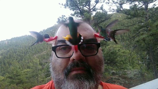 Hummingbird Whisperer  - Sputnik International