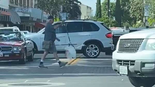 Man Walks Pet Goose on Leash Downtown  - Sputnik International