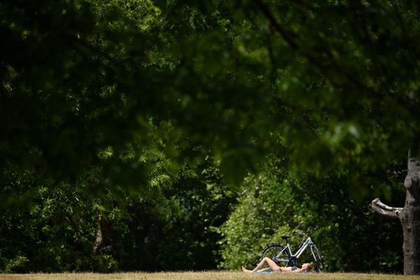 A woman sunbathes at Greenwich Park, south east London on June 2, 2020 following a further relaxation of the novel coronavirus COVID-19 lockdown rules.  - Sputnik International