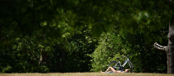 A woman sunbathes at Greenwich Park, south east London on June 2, 2020 following a further relaxation of the novel coronavirus COVID-19 lockdown rules. A woman sunbathes at Greenwich Park, south east London on June 2, 2020 following a further relaxation of the novel coronavirus COVID-19 lockdown rules. - Sputnik International