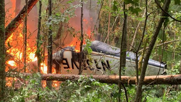 Photo of small plane crashed in rural Georgia, 5 June 2020 Photo of small plane crashed in rural Georgia, 5 June 2020 - Sputnik International