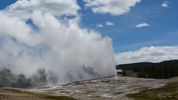 Old Faithful geyser erupts in Yellowstone National Park in Wyoming on June 11, 2019. - Old Faithful has erupted every 44 to 125 minutes since 2000. - Sputnik International