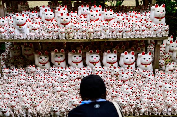 A visitor takes pictures of Maneki-neko statues, also known as beckoning cat, at Gotokuji temple in Tokyo on June 10, 2020. A visitor takes pictures of Maneki-neko statues, also known as beckoning cat, at Gotokuji temple in Tokyo on June 10, 2020. - Sputnik International