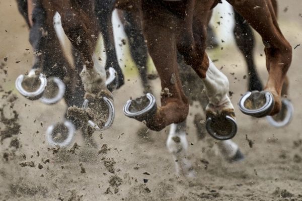 Horses' hooves during the Chelmsford City Racecourse in Chelmsford, England, 8 June 2020 Horses' hooves during the Chelmsford City Racecourse in Chelmsford, England, 8 June 2020 - Sputnik International