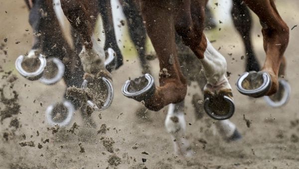 Horses' hooves during the Chelmsford City Racecourse in Chelmsford, England, 8 June 2020 - Sputnik International