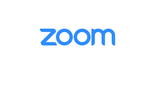 Zoom video conferencing  - Sputnik International