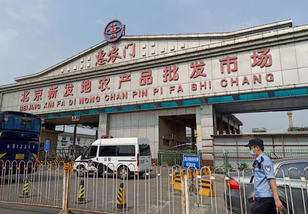 Stock Markets Plunge Over Fears of Second COVID-19 Wave, Oil Slump as China Registers Spike in Cases Stock Markets Plunge Over Fears of Second COVID-19 Wave, Oil Slump as China Registers Spike in Cases - Sputnik International
