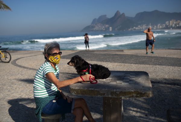 The Perfect Bond Between Humans and Dogs The Perfect Bond Between Humans and Dogs - Sputnik International