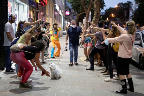 The Perfect Bond Between Humans and Dogs The Perfect Bond Between Humans and Dogs - Sputnik International