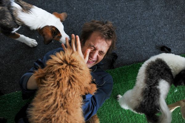 The Perfect Bond Between Humans and Dogs The Perfect Bond Between Humans and Dogs - Sputnik International