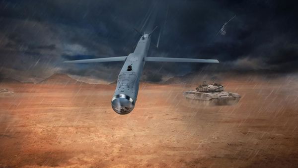 Raytheon's GBU-53 StormBreaker, better known as the Small Diameter Bomb II (SDB), can glide up to 40 nautical miles to strike its target using a tri-mode seeker - Sputnik International