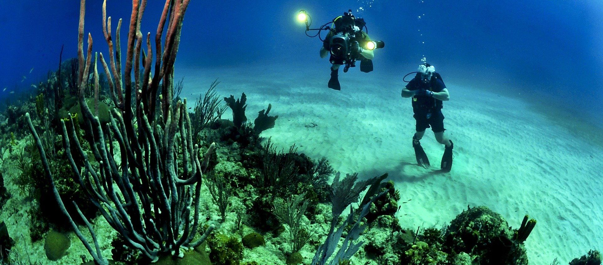 Underwater Underwater - Sputnik International, 1920, 16.06.2020