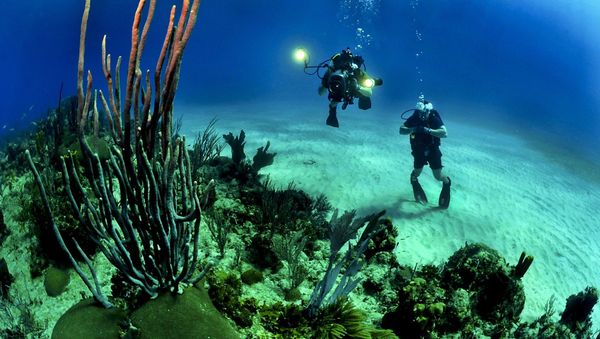 Underwater - Sputnik International